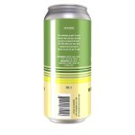 Backcountry - It's A Wonderful Day For Pie | Key Lime Pie Sour - Back of Can