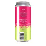 Backcountry - The Floor Is Guava | Guava Sour - Back of Can