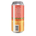 Backcountry Brewing - I’ll Take You To The Candy Shop | Fuzzy Peach Sour - Back of Can