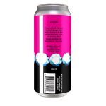Backcountry Brewing - Treat Yo Self | ISA - Back of Can