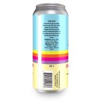 Backcountry Brewing - Case Of The Mondays | Peach, Pineapple & Guava Sour - Back of Can