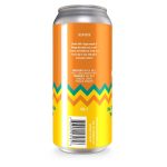 Backcountry Brewing - So You're Telling Me There's A Chance | Mango Sour - Back of Can