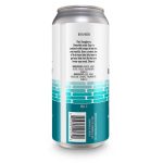Backcountry Brewing - Asking For A Friend | Raspberry Smoothie Sour - Back of Can