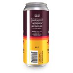 Backcountry Brewing - Go Get Yourself Some Cheap Sunglasses | Sabro, Galaxy, and Vic Secret IPA - Back Of Can