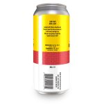 Backcountry Brewing - Steve The Pirate | Hazy Session Ale - Back of Can