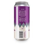 Backcountry Brewing - Did We Just Become Best Friends | Blackberry Pie Sour (2020 Edition) - Back of Can