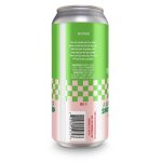 Backcountry Brewing - A Warm Glass Of Shut The Hell Up | Strawberry Mint Julep Sour - Back of Can
