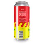 Backcountry Brewing | You Had An Extra Pair Of Gloves This Whole Time | Cherry Lime Sour - Back of Can