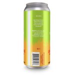 Backcountry Brewing | It Tastes Like Burning | Watermelon Jalapeño Sour - Back of Can