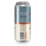 Backcountry Brewing - Strange Women Lyin' In Ponds, Distributin' Swords, Is No Basis For A System of Government | Passionfruit Sour - Back Of Can
