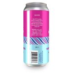 Backcountry Brewing | Violet You're Turning Violet | Blueberry Pie Sour - Back of Can