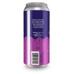 Backcountry Brewing | You Look Like You Live With Your Mother | IPA - Back of Can