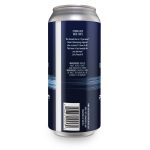 Backcountry Brewing | Punch It! | Galaxy IPA with Pineapple - Back of Can