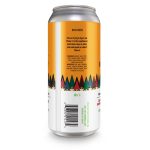 Backcountry Brewing | Phase 1: Collect Underpants, Phase 2: ?, Phase 3: Profit | Mango, Pineapple, Guava, Apricot Sour - Back of Can