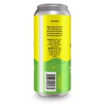 Backcountry Brewing | My Eyes! The Goggles Do Nothing! | Lemon Sour - Back of Can