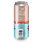 Backcountry Brewing | You Keep Knocking But You Can't Come In | Strawberry and Strata IPA - Back of Can