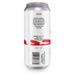 Backcountry Brewing | I Believe You Have My Stapler | Dry Hopped Lager - Back of Can