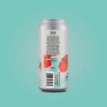 Backcountry Brewing | If I'm Not Back In Five Minutes Just Wait Longer | Mixed Fermentation Saison - Back of Can