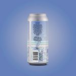 Backcountry Brewing | Get In Loser We're Going Shopping | Blueberry Lemonade Sour - Back of Can