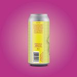 Backcountry Brewing | Do You Prefer Fashion Victim Or Ensembly Challenged? | Apricot, Guava and Tangerine Sour - Back of Can