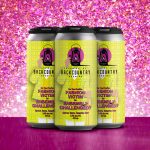 Backcountry Brewing | Do You Prefer Fashion Victim Or Ensembly Challenged? | Apricot, Guava and Tangerine Sour - Pack of Cans