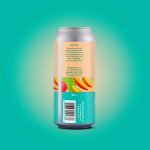 Backcountry Brewing | What Did The Five Fingers Say To The Face? | Tropical Punch Sour - Back of Can