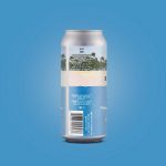 Backcountry Brewing | The Weather Outside Is Weather | Guava Coconut Passionfruit Sour - Back of Can